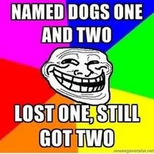 Meet your Posher, Collin